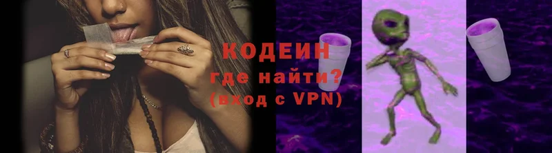 blacksprut сайт  Вилючинск  Кодеиновый сироп Lean Purple Drank 